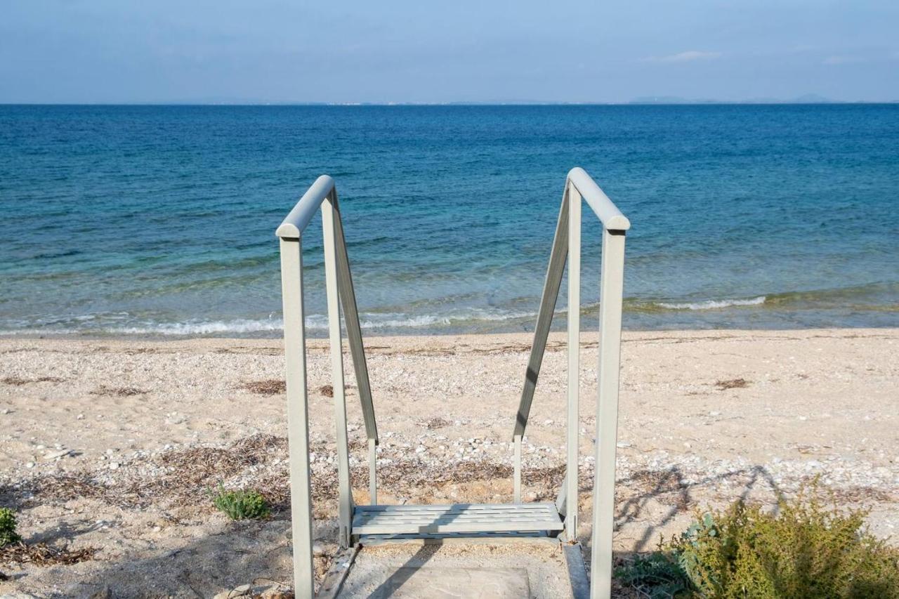 Villa On The Sea Agia Marina  المظهر الخارجي الصورة